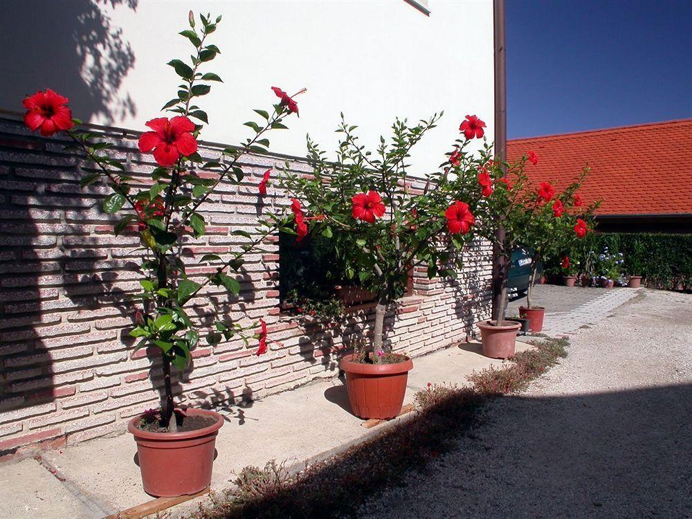 Heviz Therme Apartmenthaus Exterior foto